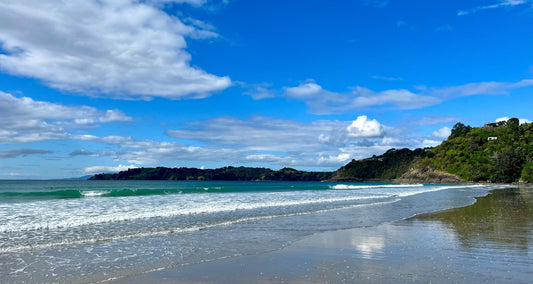 Top 5 Reasons to Visit Waiheke Island This Summer (and Why Bud’s Floral Workshops Are a Must-Do)
