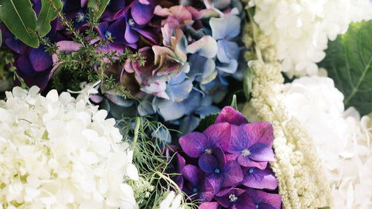 Plan Ahead: How to Book Bud’s Floral Workshops on Waiheke Island